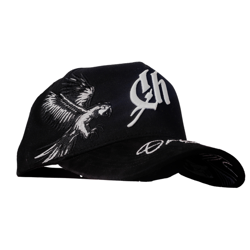 Origen Cap – Black
